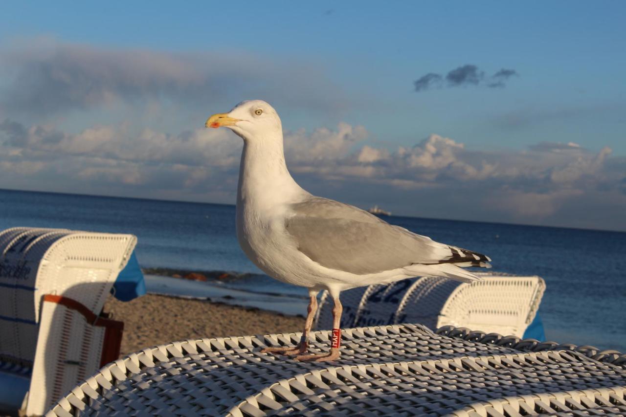 Ferienwohnungen Im Haus Strandburg Grömitz Εξωτερικό φωτογραφία